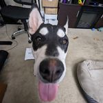 marcus Pritchett - @marcprit891 - Instagram