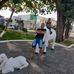Marcos Brito - Facebook