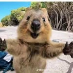 Marcus Puente - @marcus.puente - Instagram