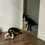 Marcus Purdy - @3707marcus - Instagram