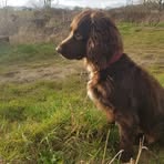 Marcus Redfern - Facebook