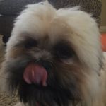 Marcus Richey - @marcus_wrestling - Instagram