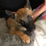 Marcus Richey - @roxy_richey - Instagram