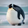 marcus - @marcusrichie0320 - TikTok