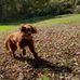 Mark Ricketts - Facebook