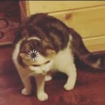 marcus - @marcus_ringheim - Instagram