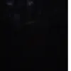 Marcus Wrisley  - @marcuswrisley11 - TikTok