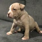 marcus rives - @sepps518 - Instagram