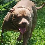 Marcus Roberson - @kingroberson1224 - Instagram