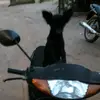 Marcus_rock - @marcus_rock - TikTok