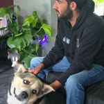 Marcus Rodney - @marcusrrodney - Instagram