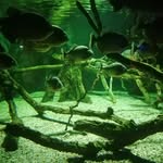 @marcusroeder2004 - Instagram