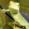 marcusroeder73 - @marcusroeder73 - TikTok