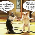 Markus Rohrer - Facebook