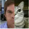 Marcus - @marcusrojas569 - TikTok