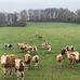 Markus Rolle - Facebook