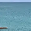 Marcus rose - @marcus.rose318 - TikTok
