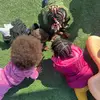 demarcusrowe - @demarcusrowe - TikTok