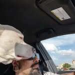 Marcus Rowell - @bone_daddy.333 - Instagram