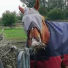 Marcus Ruch - @marcus.ruch - TikTok