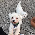 Marcus Rumpf - @bobted_2022 - Instagram