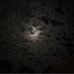 Marcus Runyon - Facebook