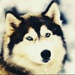 Marcus Salem - @marcussalem2002 - Instagram