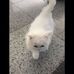 Marcus Salem - Facebook