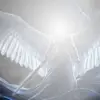 Marcus Sales - @marcus.sales0 - TikTok