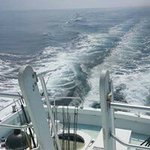 Marcus Salter - @marcus.salter.52 - Instagram