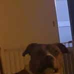 Marcus Sanderson - Facebook
