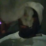 Marcus Satterfield - @marcussatterfield7 - Instagram