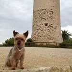 Marcus Schellenberg - @schellenbergmarcus - Instagram