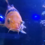Marcus Schindler - @marcus.schindler.758 - Instagram