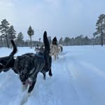 Markus Schindler - @markus_goes - Instagram