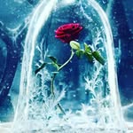 Markus Schindler - @markus.schindler.161 - Instagram