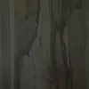 marcusschubert36 - @marcusschubert36 - TikTok