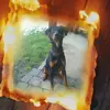 Marcus Schulte - @marcus.schulte7 - TikTok