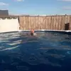 Marcus Schwarz - @marcus.schwarz - TikTok