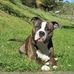 Marcus Schwarz - Facebook