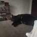 Mark Searles - Facebook