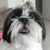 Marcus Segundo - @marcus.segundo5 - TikTok