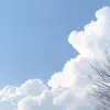 90DayImprovement - @marcusselfimprovement - TikTok