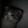 M... - @marcus.selfw - TikTok