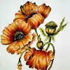shade marcus - @shade.marcus - TikTok