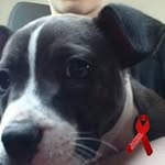 Marcus Sheldon - @marcus.sheldon.56 - Instagram