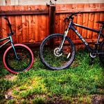 marcus sheldon - @marcusheldon - Instagram
