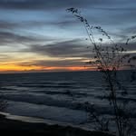 Marcus Shell - @marcus_james_shell - Instagram