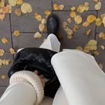 Markus Shield - @markus.shield - Instagram