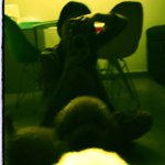 @marcusshirley - Instagram